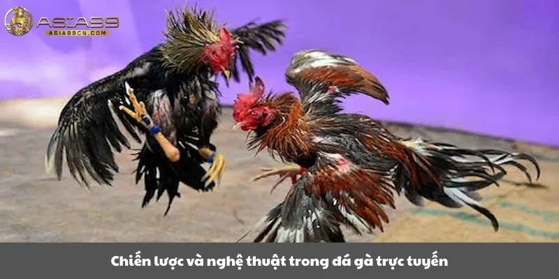 Chiến lược và nghệ thuật trong đá gà trực tuyến